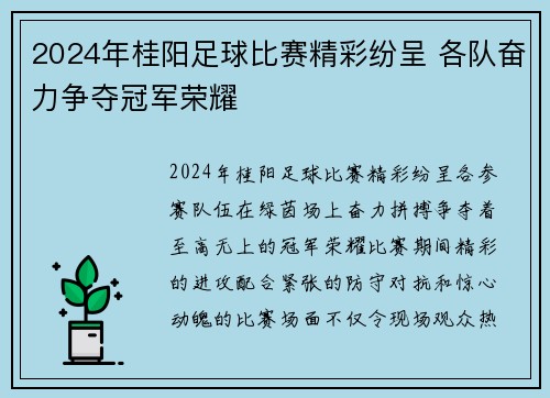 2024年桂阳足球比赛精彩纷呈 各队奋力争夺冠军荣耀