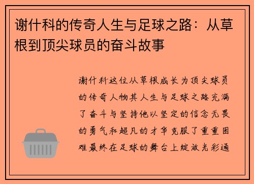 谢什科的传奇人生与足球之路：从草根到顶尖球员的奋斗故事