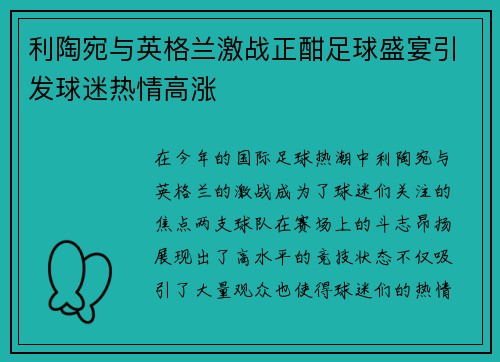 利陶宛与英格兰激战正酣足球盛宴引发球迷热情高涨