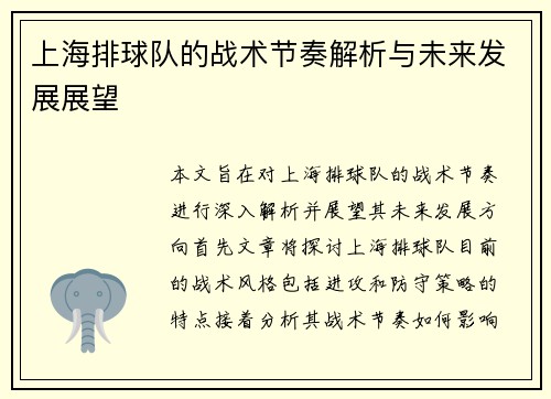 上海排球队的战术节奏解析与未来发展展望