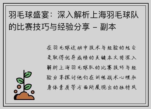 羽毛球盛宴：深入解析上海羽毛球队的比赛技巧与经验分享 - 副本